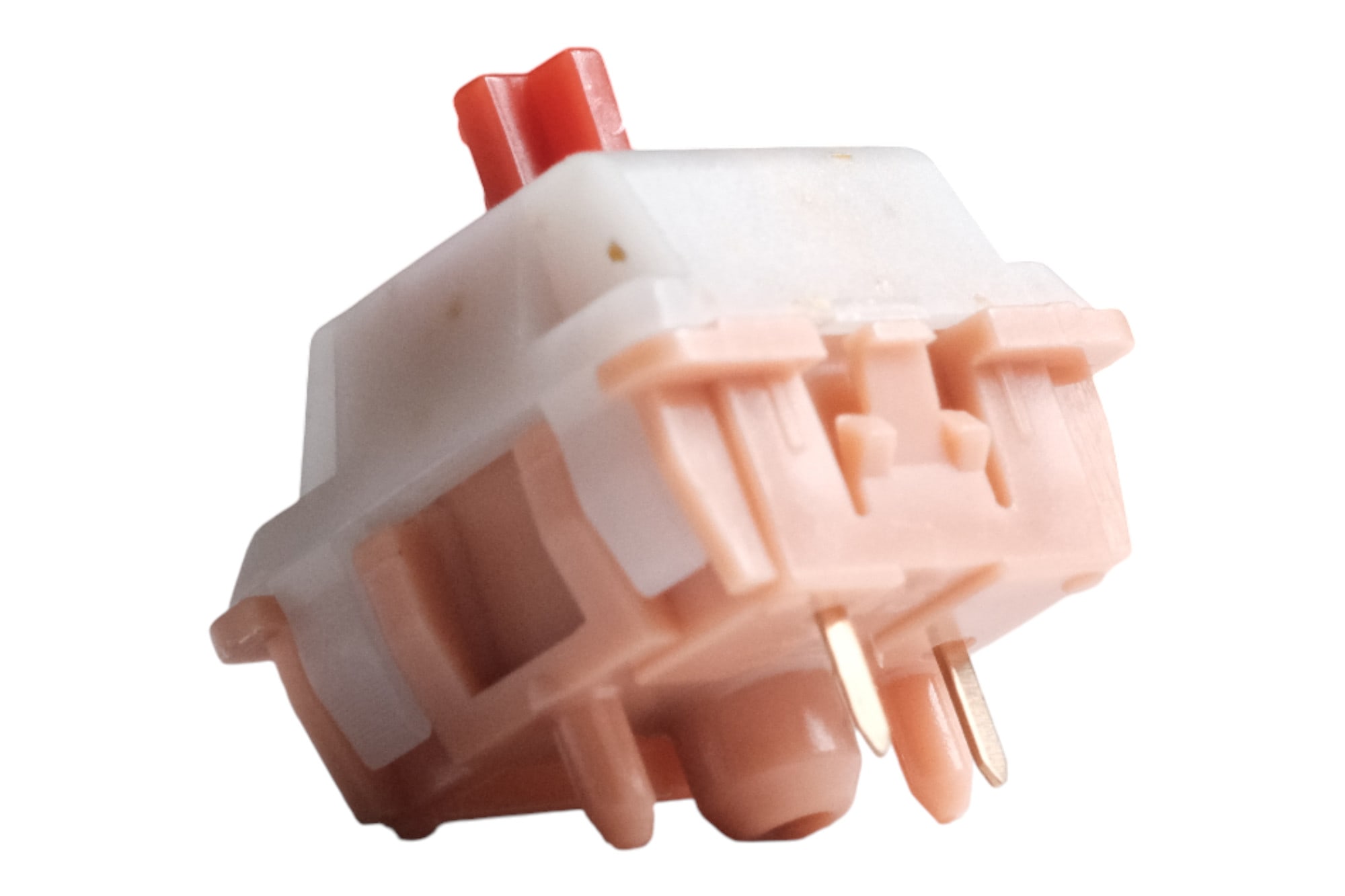 Invokeys Goji Reserve Tactile Switch · Milktooth